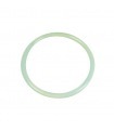 Junta tapa filtro Astralpool Aster 4404020111