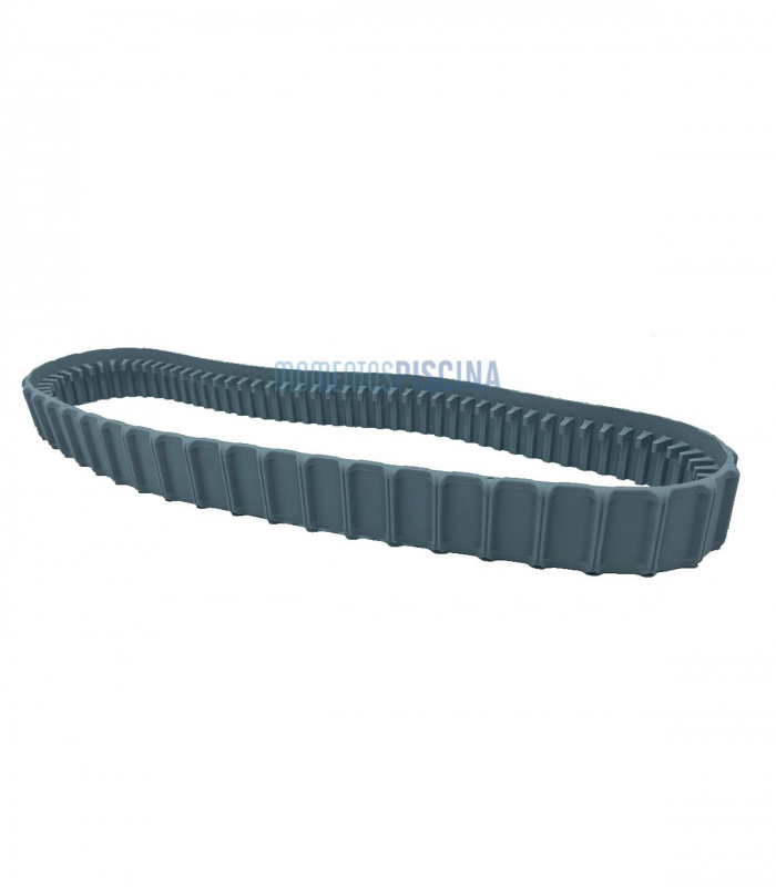 Dolphin 9983152" Dolphin Reiniger Track Strap