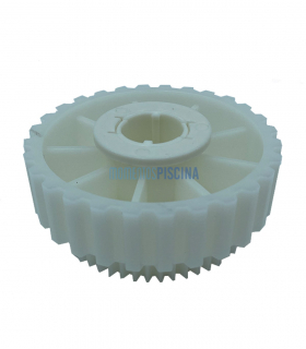 Gear for active brush Dolphin 9991043-ASSY