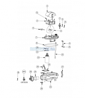 Engranaje Z12 motor accionamiento Dolphin 9983142