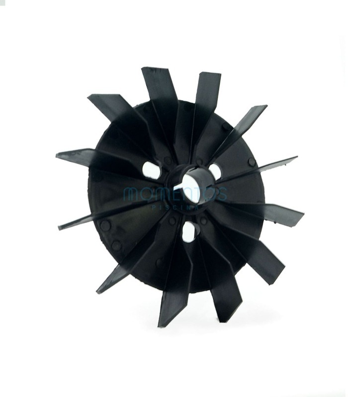 Fan Saci Winner (150-200-300)