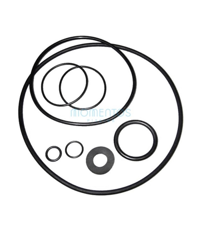 Astralpool Sena gasket kit