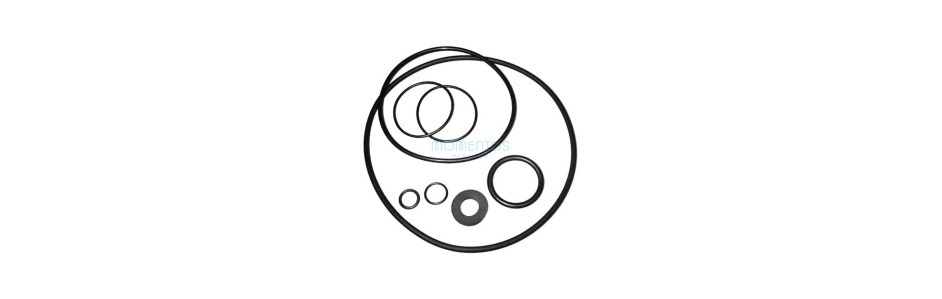 Astralpool Sena gasket kit