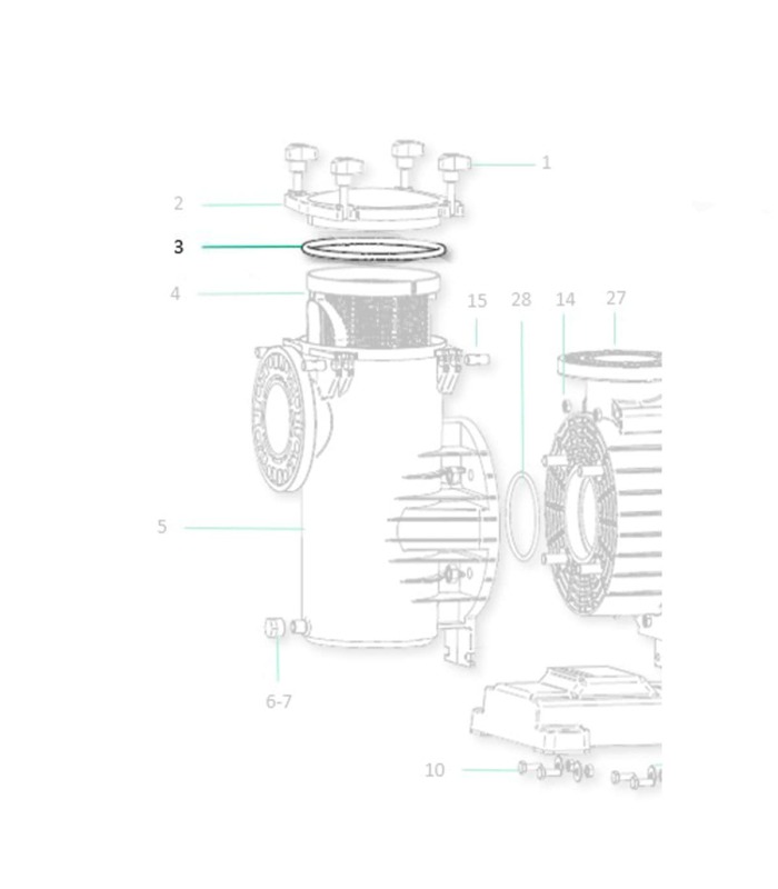 Pre-filter cover gasket Saci Magnus