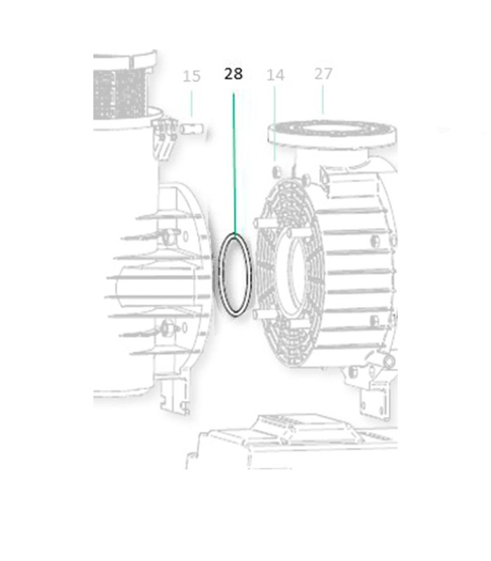 Saci Magnus body cover gasket