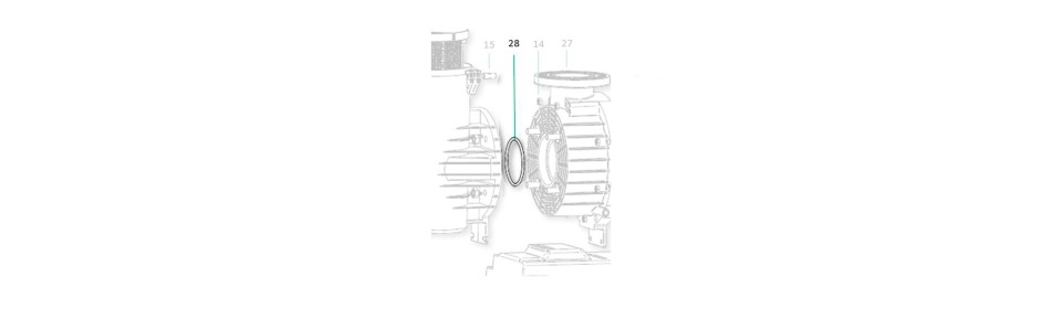 Saci Magnus body cover gasket