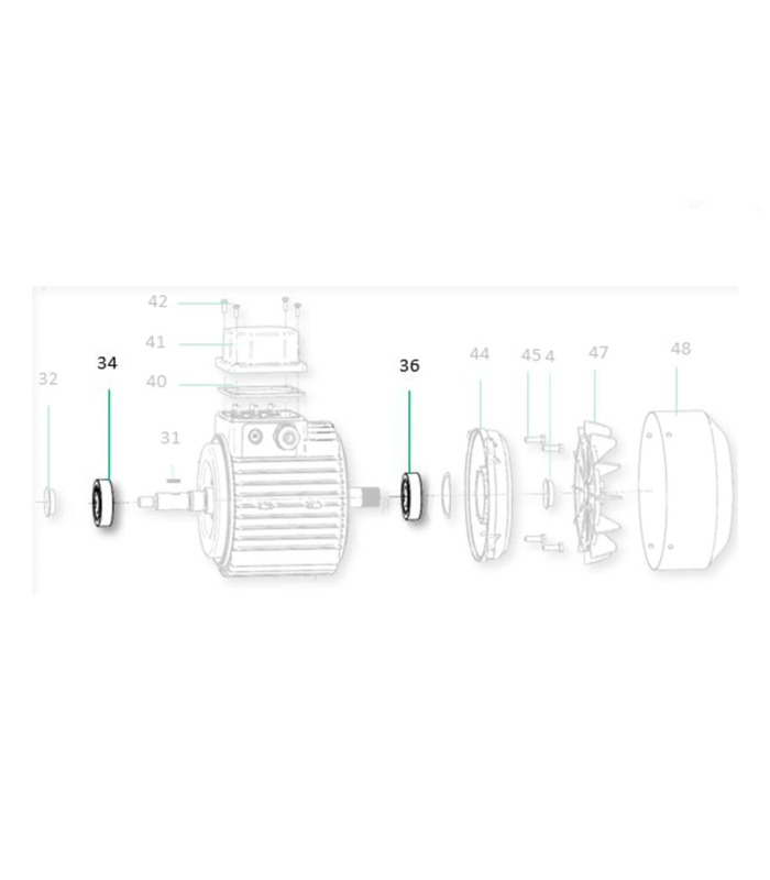 Cojinete Saci Magnus 250-400/Supra 300-400