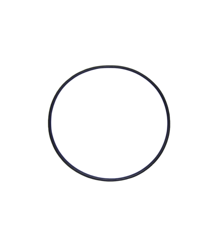 AstralPool Maxim Deckel-Dichtung 192x5