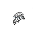 Boîtier droit Zodiac MX6